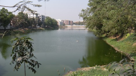 Banani lake, similar in structure to Gulshan lake