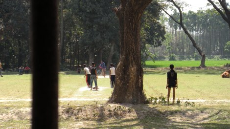 Cricket outside the college